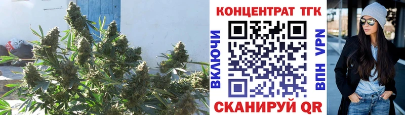 Дистиллят ТГК жижа  Купить где  Неман 